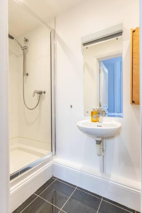 Victorian Flat Close To Station With Large Garden Appartement Hove Buitenkant foto
